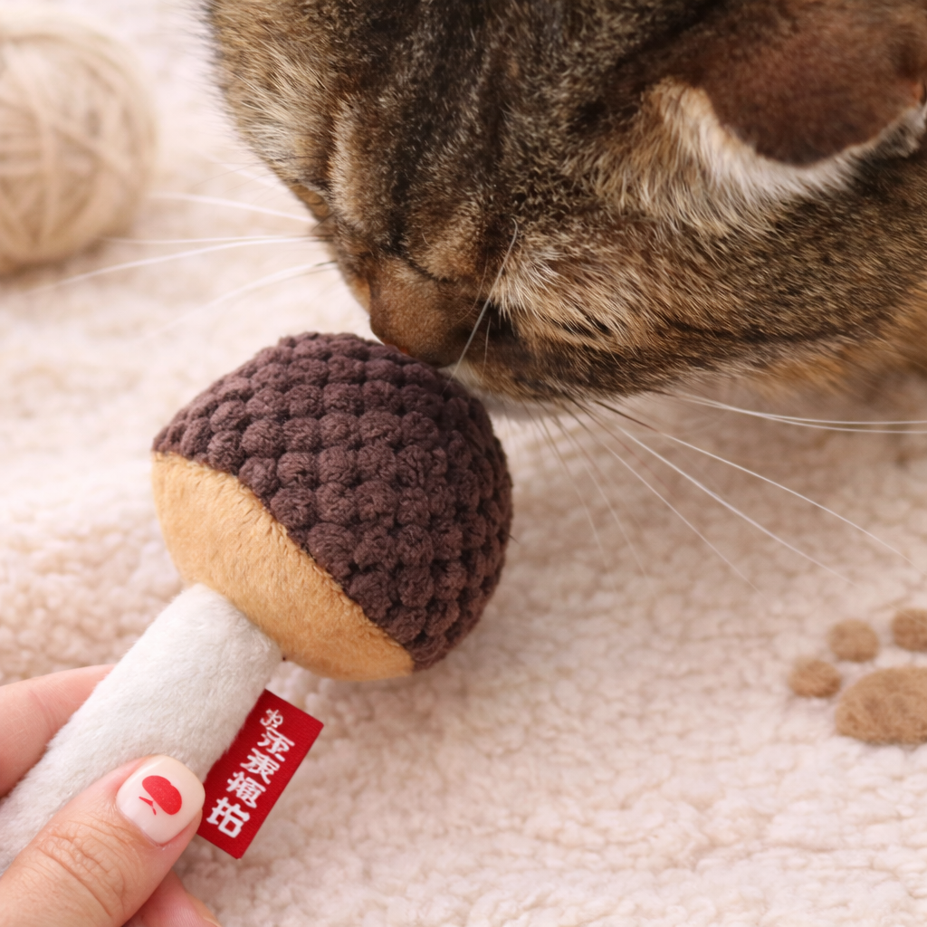 Cat Chew Mushroom Toy with Silvervine & Catnip – Molar Cleaning Interactive Cat Toy (15cm)