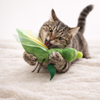 Grasshopper Catnip Toy – Plush Interactive Cat Toy with Crinkle Wings – Bite-Resistant Cat Teaser (18 x 5 cm)