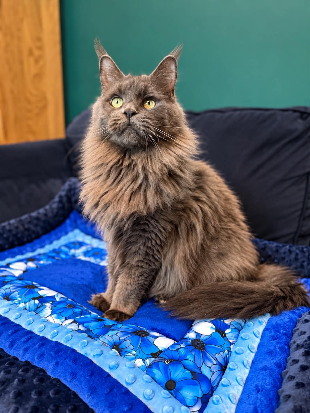 Snuggle & Snooze Pet Blanket, Handmade – Soft Plush Cat & Dog Blanket 50 × 70 cm