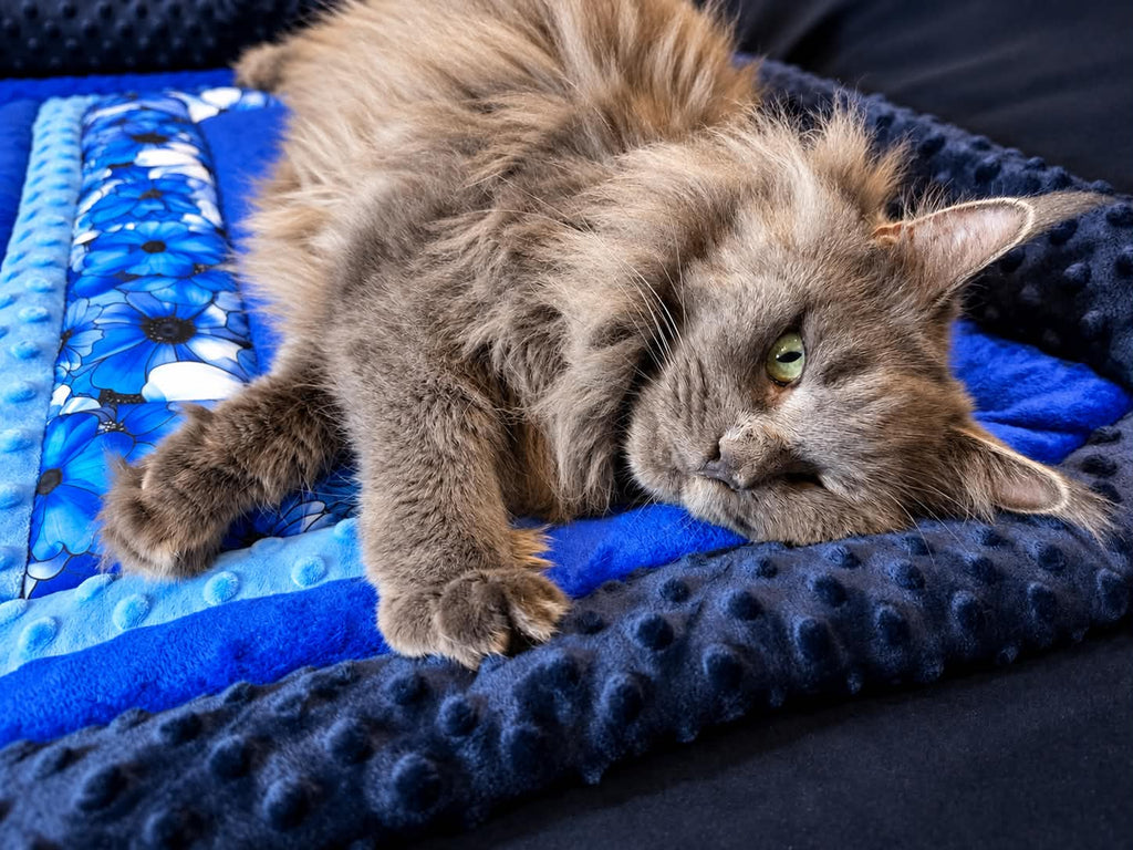 Snuggle & Snooze Pet Blanket, Handmade – Soft Plush Cat & Dog Blanket 50 × 70 cm